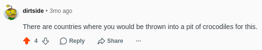 Screenshot of a Reddit comment saying "There are countries where you would be thrown into a pit of crocodiles for this."