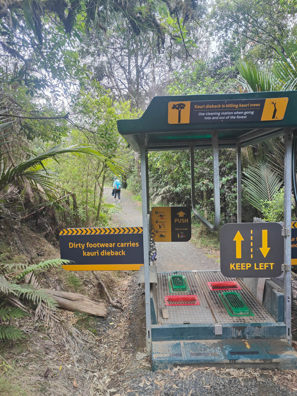 A disinfecting area in the entrance to a Kauri forest.