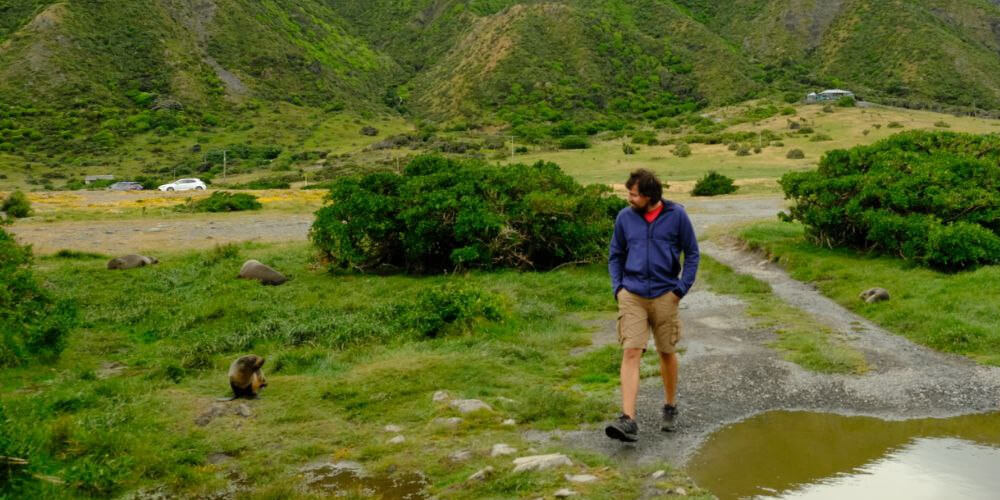 Myself walking amongst some cute Sea Lions.